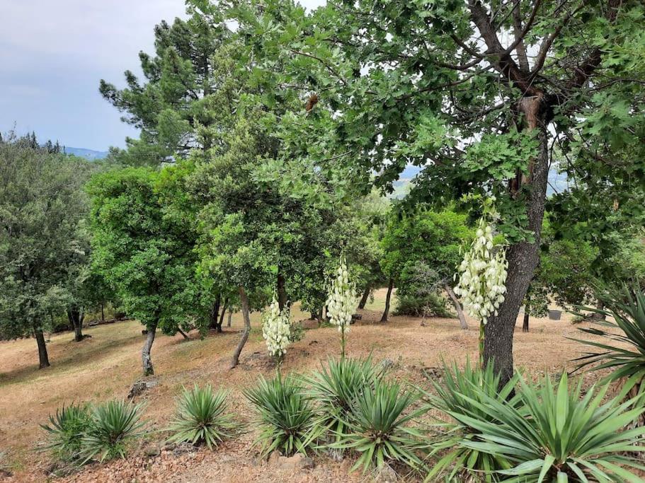 Villa Tutti I Colori Del Chianti Linari Εξωτερικό φωτογραφία