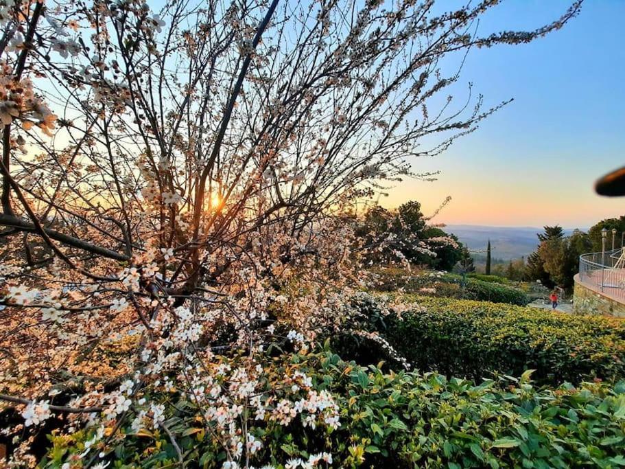 Villa Tutti I Colori Del Chianti Linari Εξωτερικό φωτογραφία