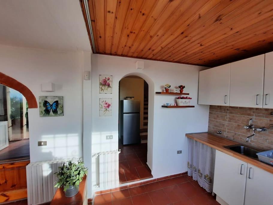 Villa Tutti I Colori Del Chianti Linari Εξωτερικό φωτογραφία