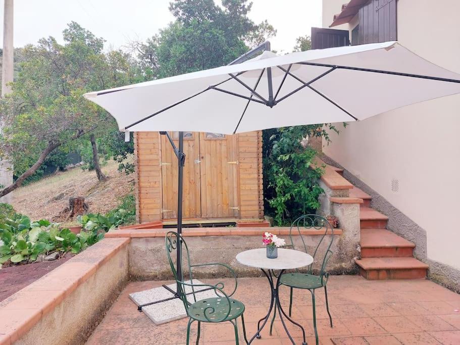 Villa Tutti I Colori Del Chianti Linari Εξωτερικό φωτογραφία